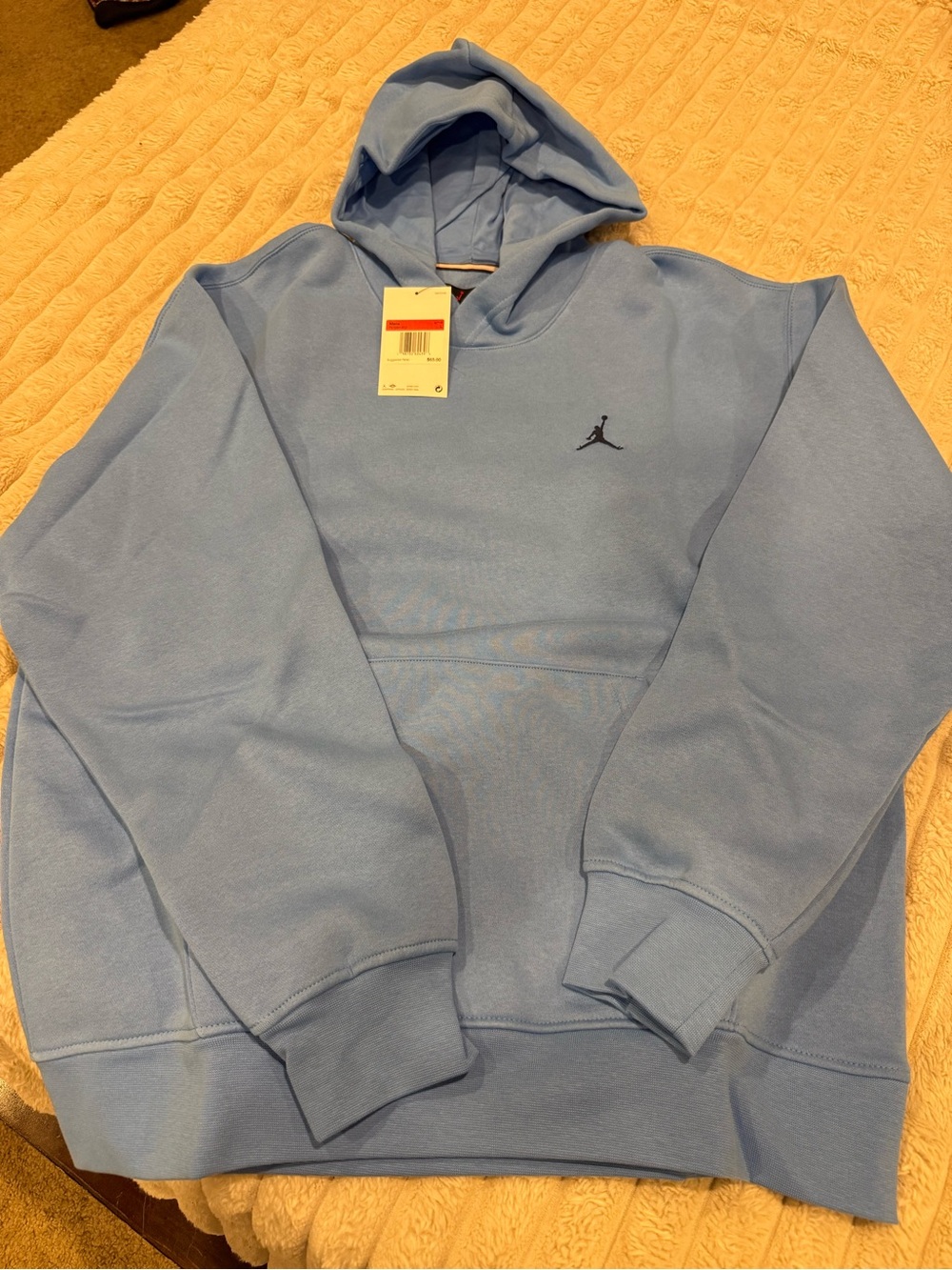 Jordan Light Blue Pullover Hoodie with Black Jumpman